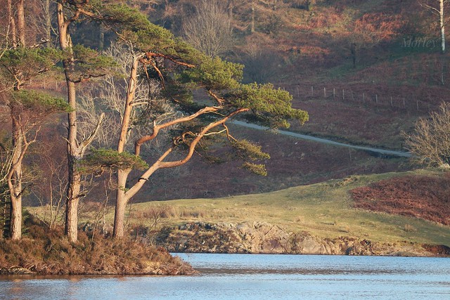 Tarn Hows long range landscape National Trust