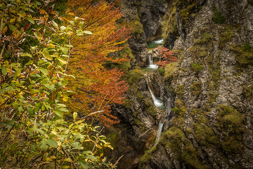 herbst herbstfarben fall fallcolors autumn foliage leaves gorge pfanngraben spitzingsee waterfall whirlpools bavaria alps