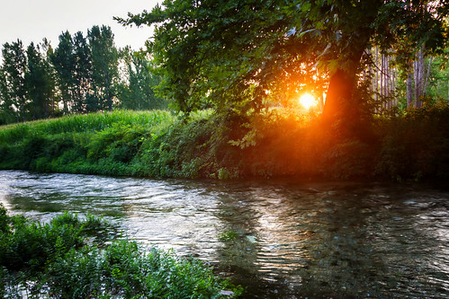 river tree sunset nature ποτάμι δέντρο ηλιοβασίλεμα φύση