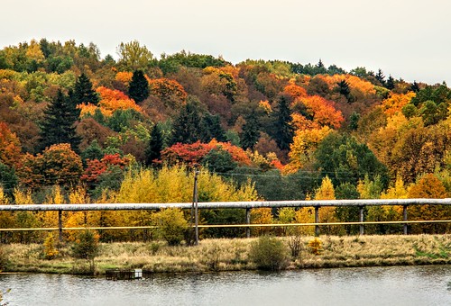 autumn lithuania europe colors trees bushes water landscape nature sonynex5t sony manualfocus ranger60300mm