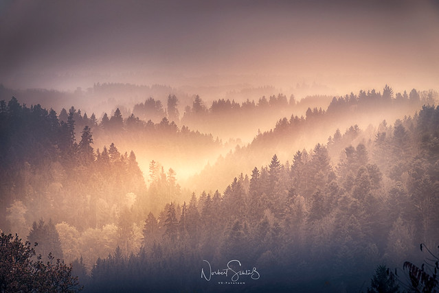 Evening sun and mist ... Bavarian Forest