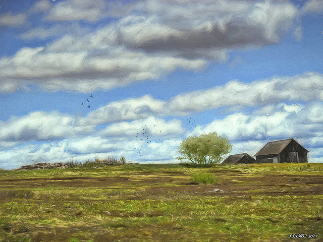 Rural Scene in Northern Maine
