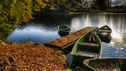 Lumière d'automne | by Fred&rique