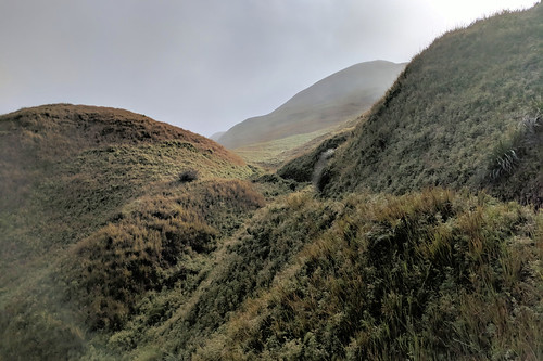 landscape mist mountain sky grass tree forest mountainside travel outdoor philippines pulag google pixel xl