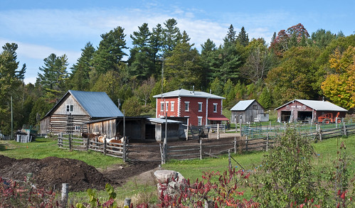 farm homestead madawaskahighlands horses barn shed trees