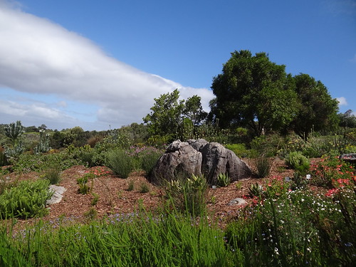 Kirstenbosch National Botanical Garden