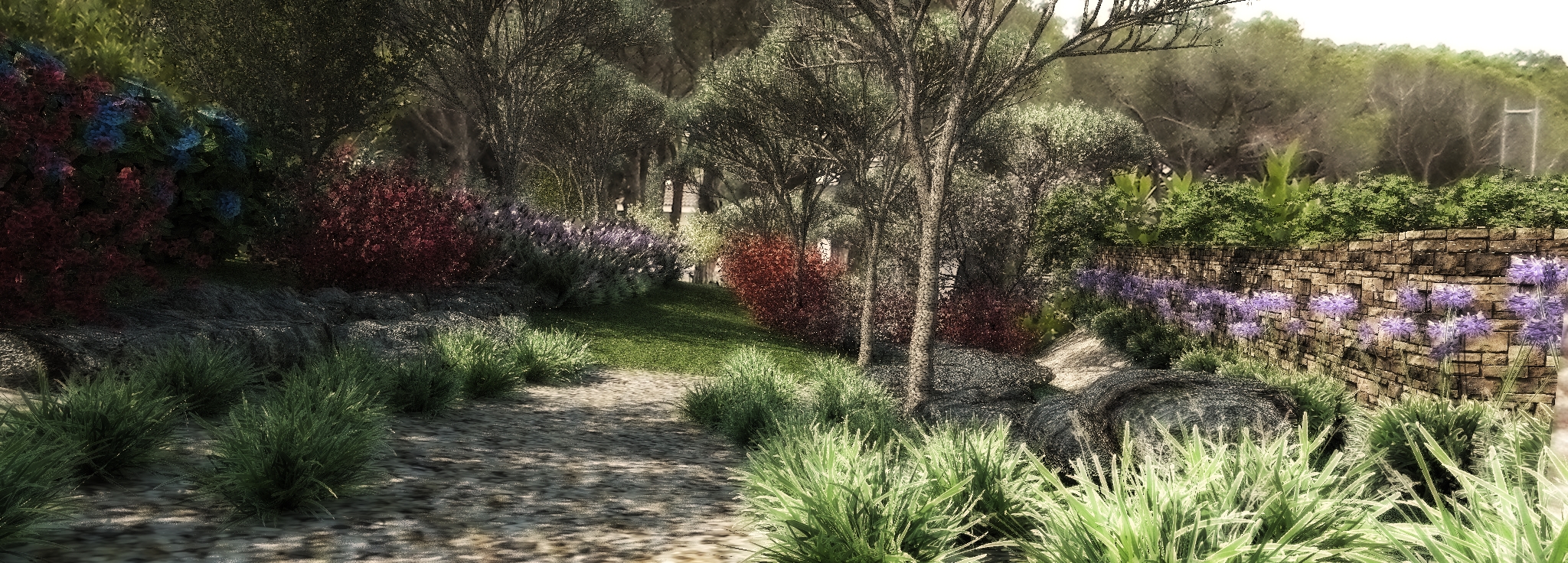 path with ornamental grass_filter