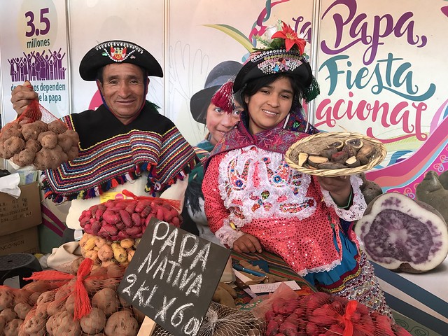 Productores de papa nativa y tunta, beneficiarios de proyecto impulsado por la Comunidad Andina y la Unión Europea participan en feria Mistura