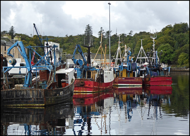 Boats in Stornoway harbour,  Isle of Lewis.
