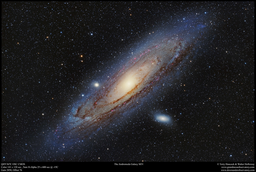 The Andromeda Galaxy M31 with H Alpha