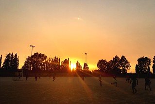 Where the sun is king Football Sunset Large Group Of People Leisure Activity Silhouette Real People Sun Tree Men Lifestyles Sky Togetherness Sunlight Outdoors Sport Nature Clear Sky Competition Beauty In Nature Day People Stifanibrothers