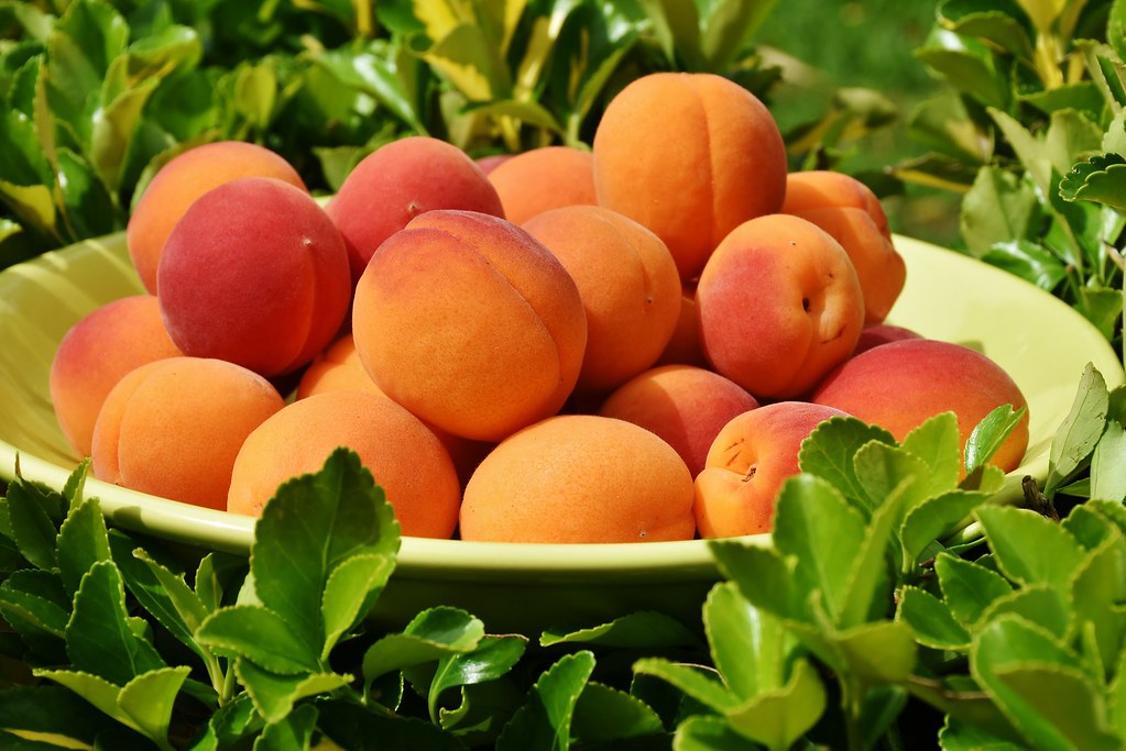 Source: wallboat.com/fresh-peaches/
This is a free image you can use it.More free Images @ wallboat.com All images are Public Domain/Free and you can use any where for any purpose without any permission.Even you can use for commercial purpose.

#peach #fruit #delicious #vitamins #eat #sweet #apricot #freephotos #freeimages #commoncreativeimages #royaltyfree #eat #healthyhealthy,eat,