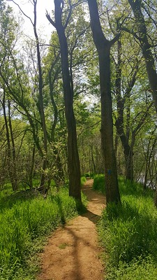 River Trail on the James River
