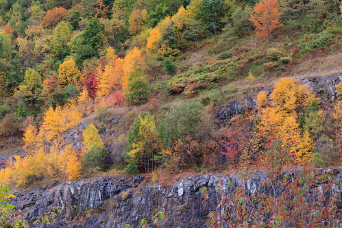 autumn fall landscape landscapemountain mountains tennessee trees flagpond unitedstates us