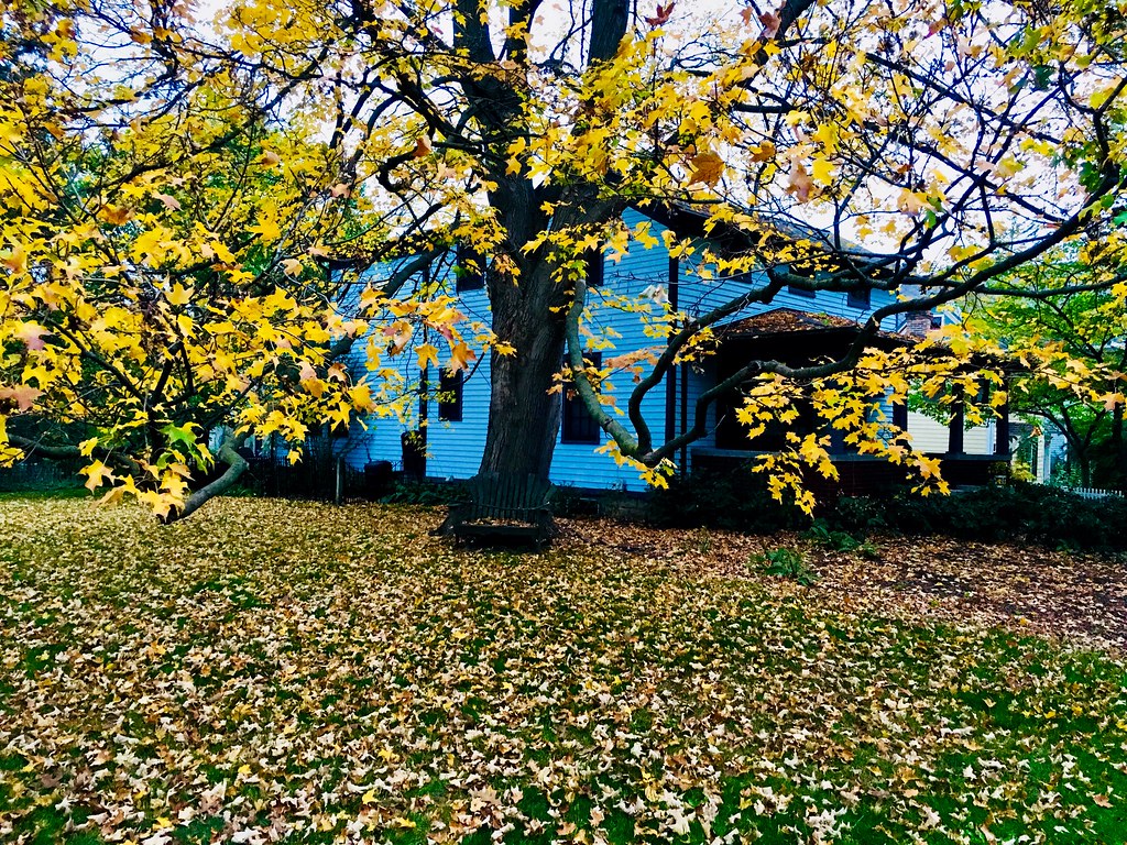 Autumn, Ann Arbor