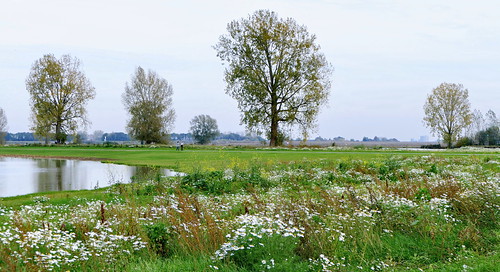 holland niederlande netherlands maas fluss flusslandschaft river riverlandscape alphen landwirtschaft felder