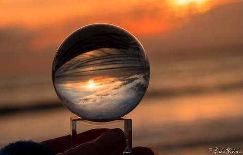 Another one bites the dust by Eiona R, I took this with me to place in wet sand to get reflections......it didn't get that far...porttalbot