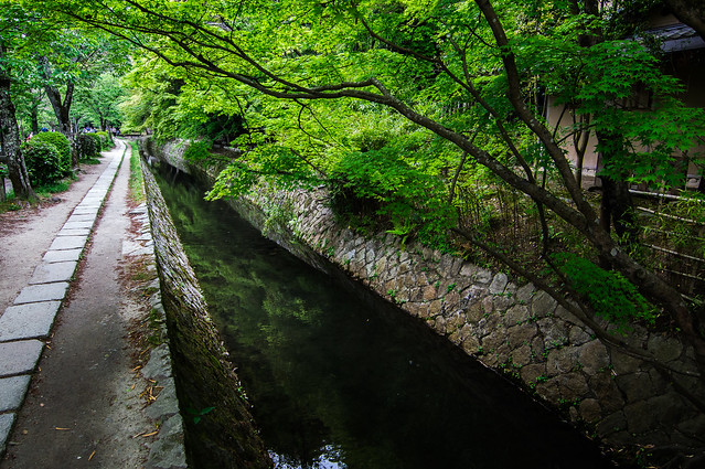 Philosopher's walk