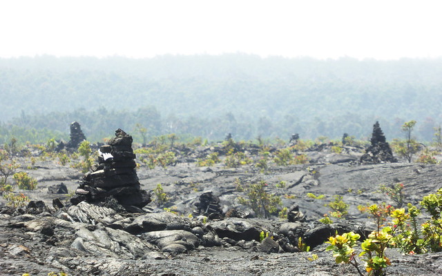 Kerns in a lava field