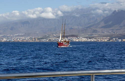 Kueste Playa de La Americas - Tenerife | by hskrzypinski