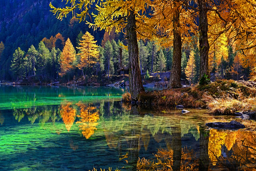 осень и озеро