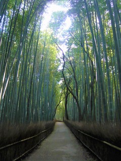 arashiyama0902031