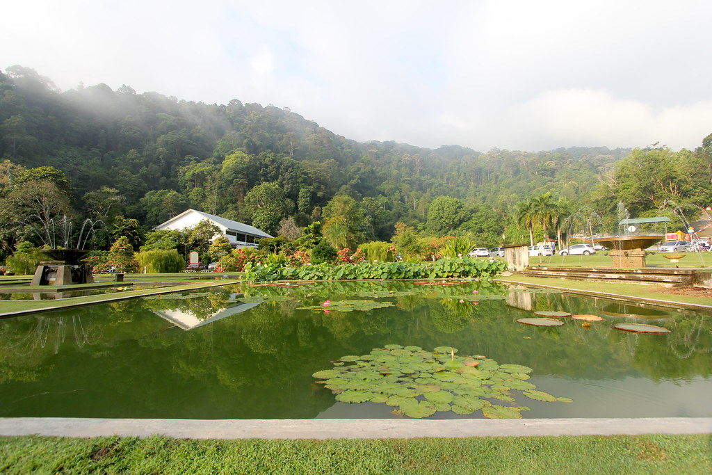 Penang Botanical Gardens Lets Book Flickr