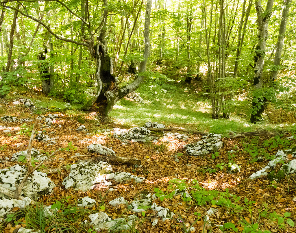 Plitvice Lakes National Park