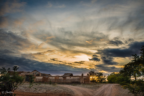 Ocaso by molina09, molina nikon d800 ocaso atardecer puestadesol landscape viñas castillalamancha quintanardelrey cuenc