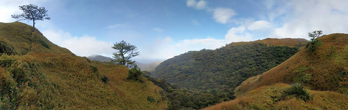landscape mist mountain sky grass tree forest mountainside travel outdoor philippines pulag google pixel xl panorama