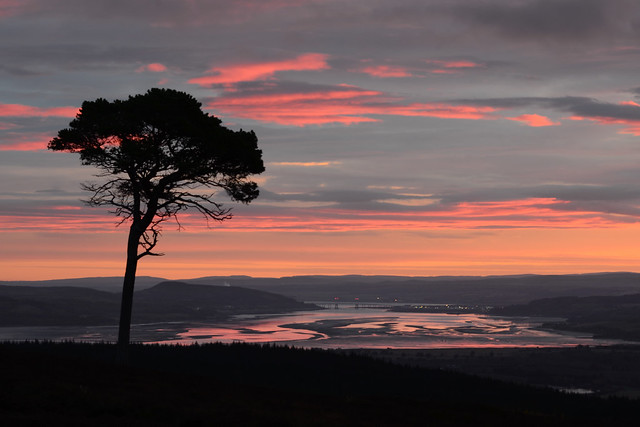 Daybreak Above the Beauly Firth and Inverness