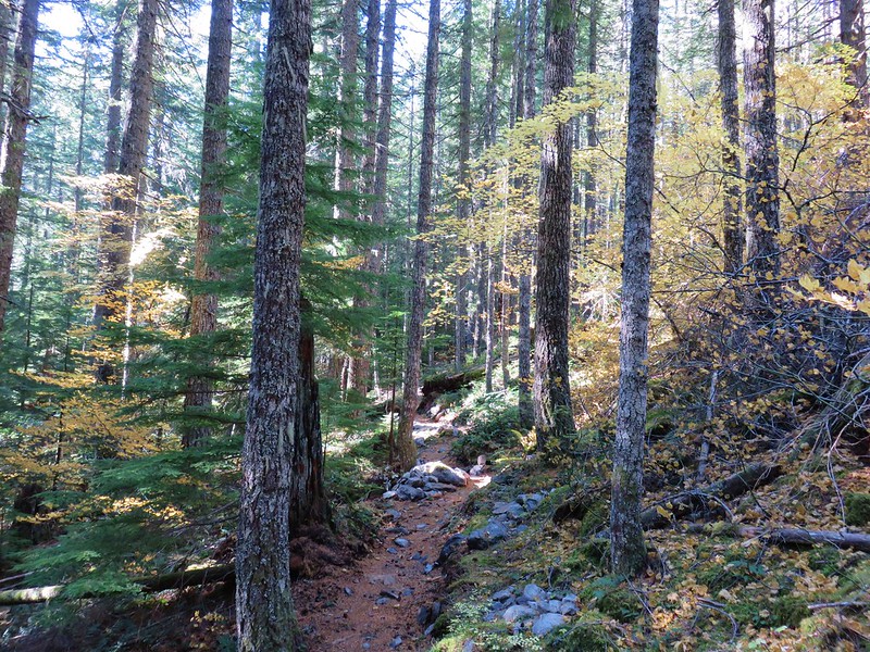 Pioneer Bridle Trail