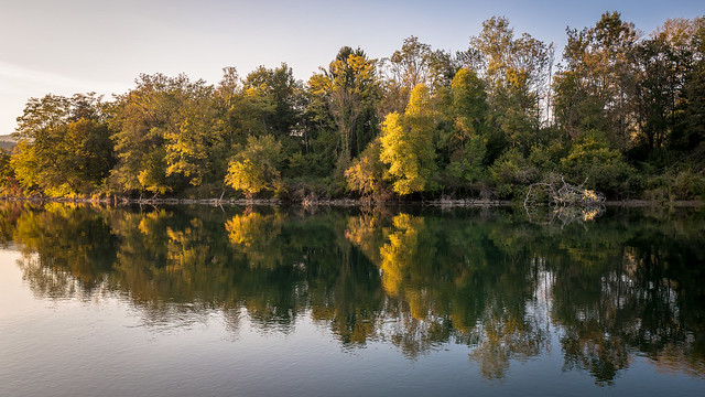 Autum at the River Aare