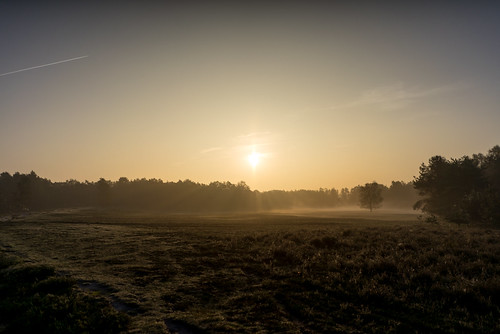 morning nebel landschaft nature thülsfeldertalsperre sonnenaufgang fog heide morgen landscape sunrise