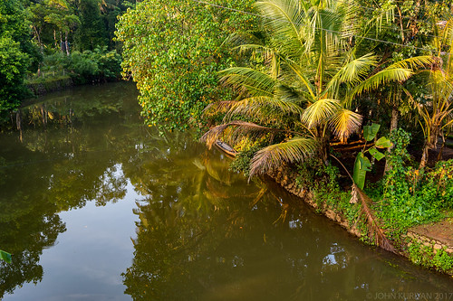 kerala india in palm coconut river reflections sunrise meenachel kottayam aymanam canoe tropics