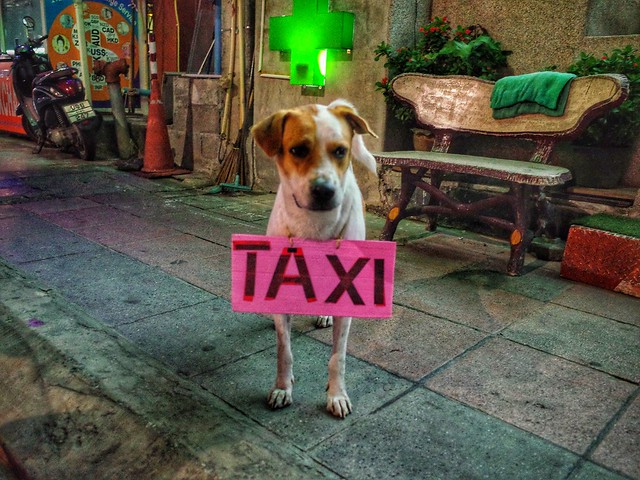 Need a Taxi in Phuket .