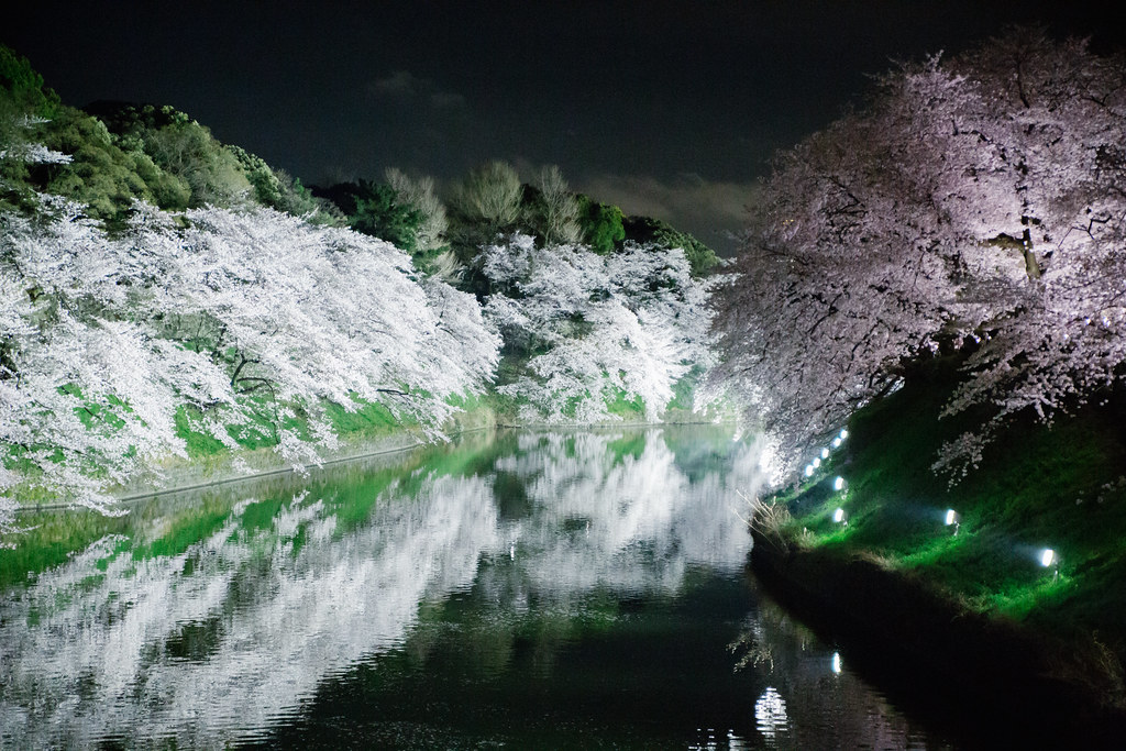 Chiyoda Cherry Blossom Festival 2017