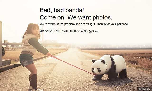 Bad Panda Bad Plastic Panda Bad Bad Bad Panda