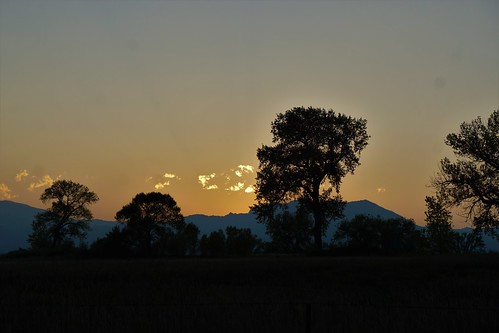 sunset trees silhouette dusk mountains sky cloud clouds cottonwood cottonwoodtrees backlit atardecer
