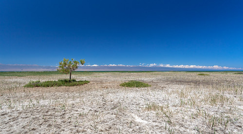 saltmarch issykkul lakes lakeshore trees salt sky blue clouds mountains grass white deserted kyrgyzstan scenery panorama vast