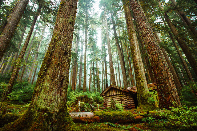 Sol Duc Shelter