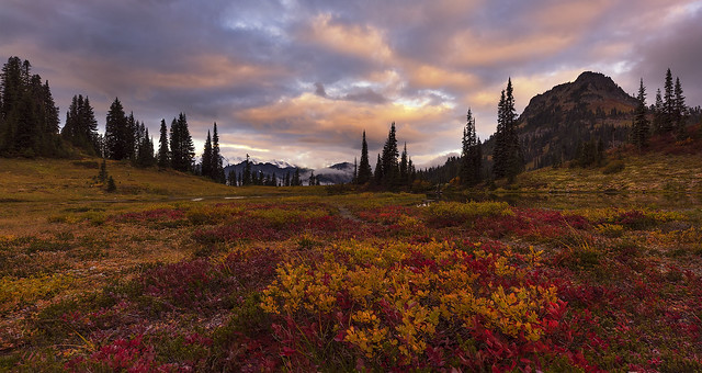 Fall Colors in the Mountais (Mt Rainier NP, WA)