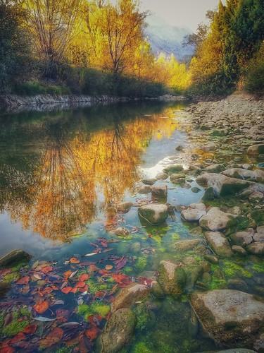avidecai movil otoño vegacervera río paisaje agua reflejos vertical arboles