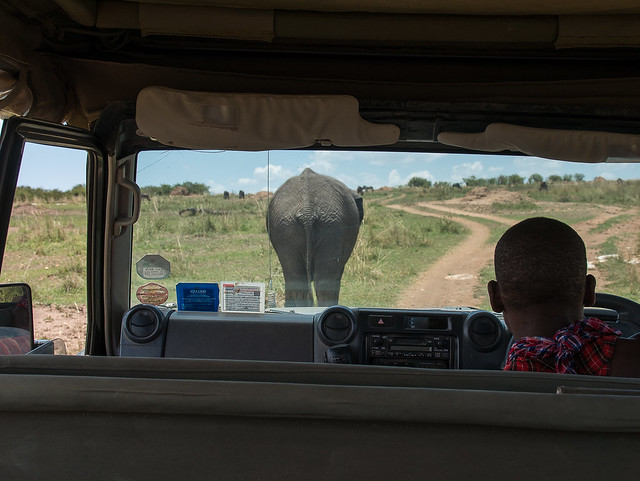 African Safari. Traffic on the game drive.