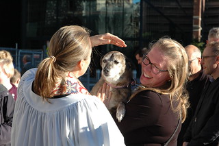 Blessing of the Animals, October 1, 2017