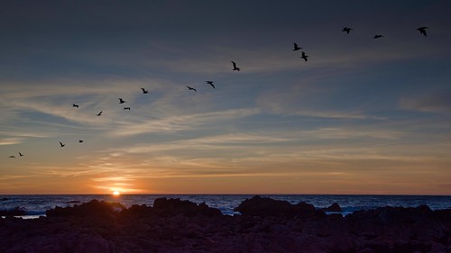 monterey california ca usa ocean seaside coastline shoreline sunset northerncalifornia