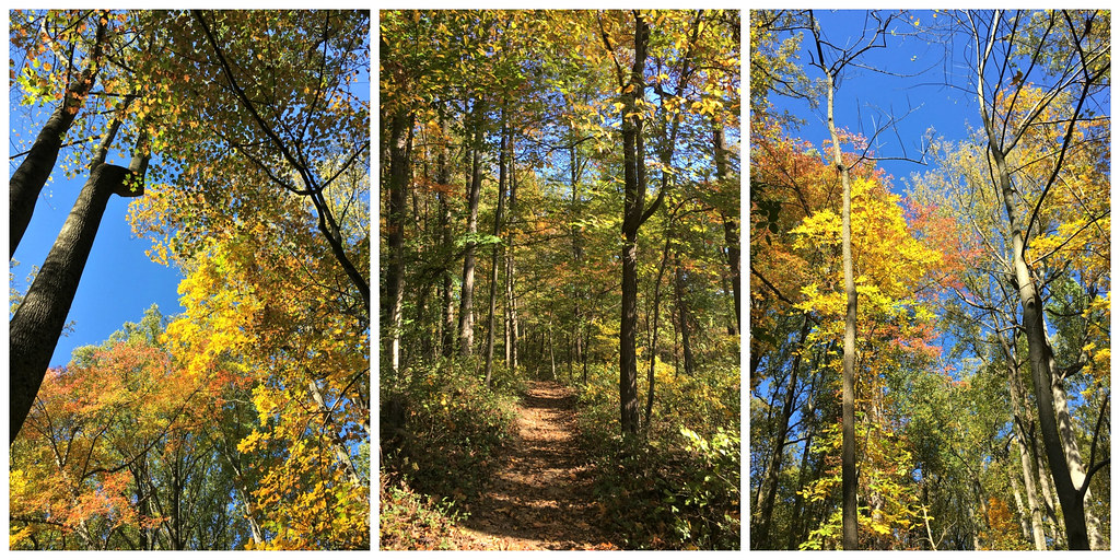 Golden day for a hike - HCS!