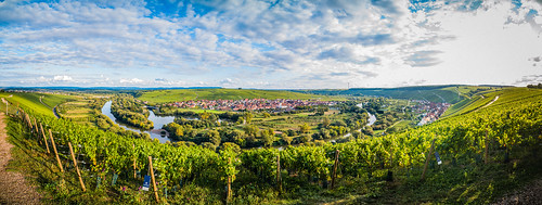 travel wine wineyard volkach mainscleife germany leica green blue sky sun clouds panorama