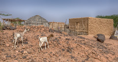 Azel village north of Agadez