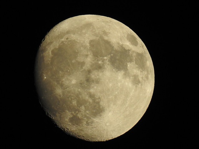 Getting closer to the November Beaver Moon or Hunter's Moon. It will be closer to Earth than usual. The Moon will be full on Saturday 1:23 A.M. EST. and may have an orange tent to it. Do you know why it's called a Beaver's Moon? I'll tell on Saturday. Moo